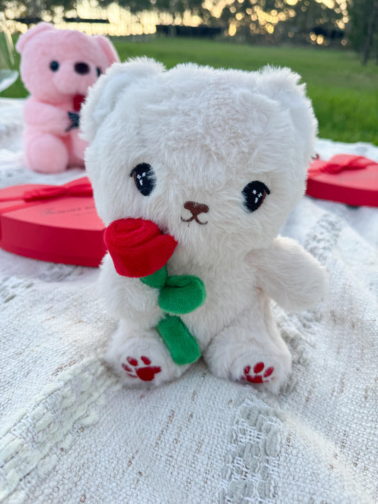 Snowy – The Valentine’s Bear 🤍🐻🌹