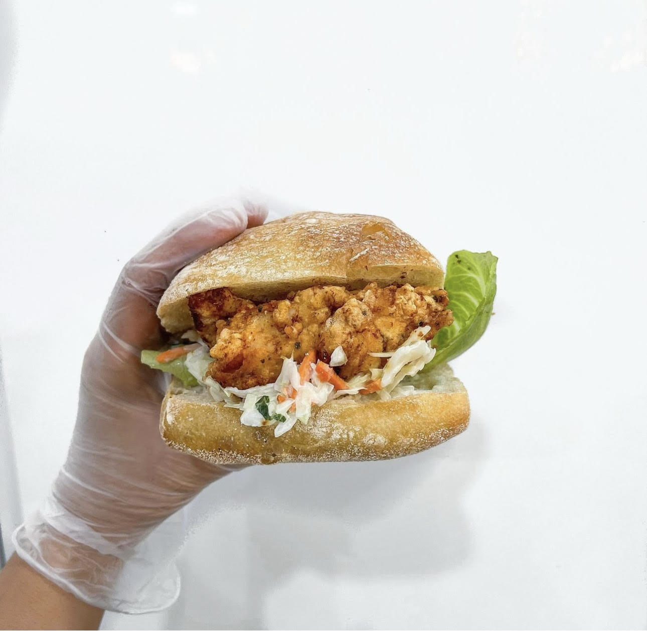 Crispy Chicken + Slaw